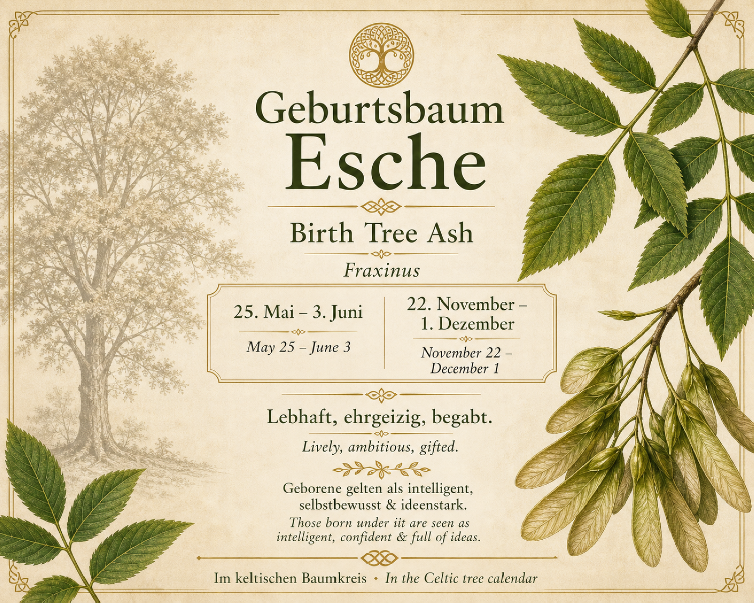 Eschenkugelschreiber, inkl. Magic Pen Box