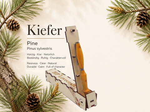 Kiefernkugelschreiber, inkl. Magic Pen Box
